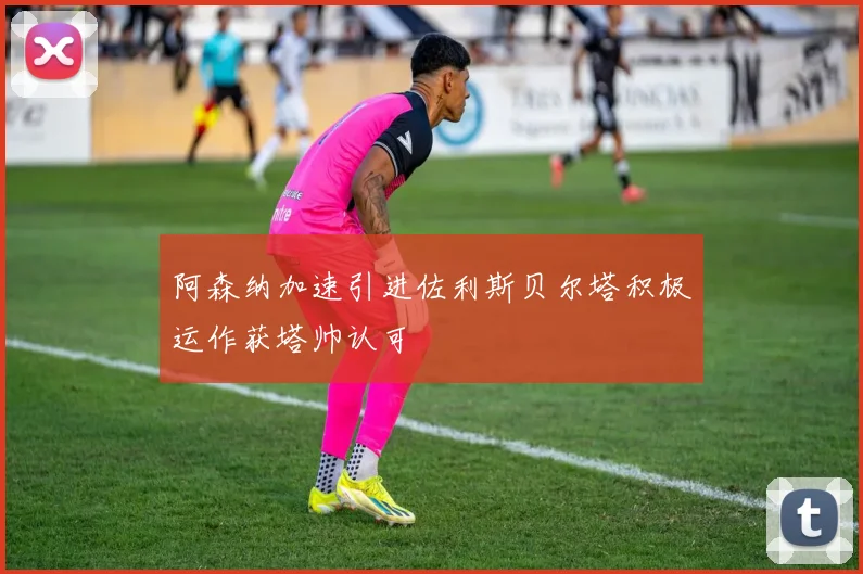 阿森纳加速引进佐利斯贝尔塔积极运作获塔帅认可